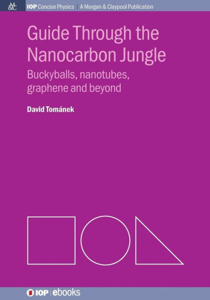 Guide through the Nanocarbon Jungle: Buckyballs, Nanotubes, Graphene, and Beyond / Edition 1