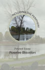 Including the Periphery: Personal Essays