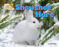 Title: Snowshoe Hare, Author: Dee Phillips