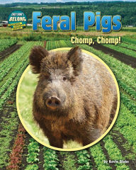 Title: Feral Pigs: Chomp, Chomp!, Author: Kevin Blake