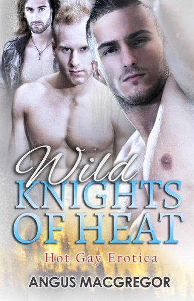 Wild Knights of Heat: Hot Gay Erotica