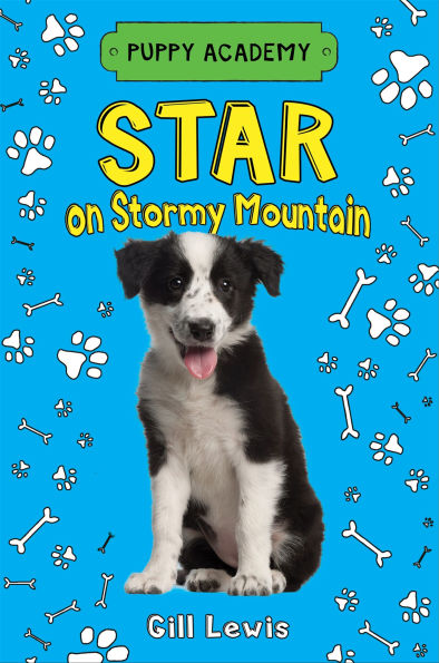 Star on Stormy Mountain