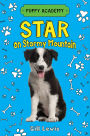 Star on Stormy Mountain