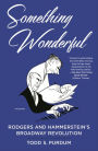 Something Wonderful: Rodgers and Hammerstein's Broadway Revolution