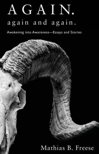 Again. Again and Again.: Awakening into Awareness - Essays and Stories