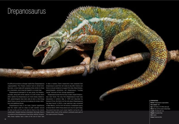 Dinosaurs: Profiles from a Lost World