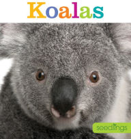 Title: Koalas, Author: Kate Riggs