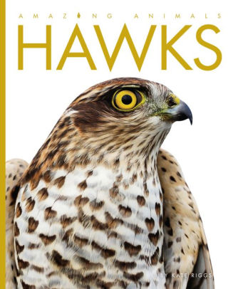 Hawks (Amazing Animals Series) by Kate Riggs, Paperback | Barnes & Noble®