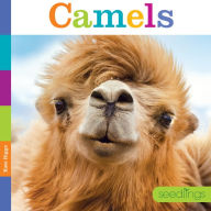 Title: Camels, Author: Kate Riggs