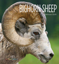 Title: Bighorn Sheep, Author: Melissa Gish