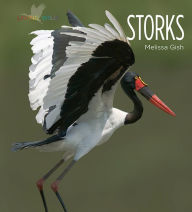 Title: Storks, Author: Melissa Gish