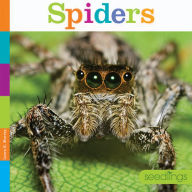 Title: Spiders, Author: Laura K. Murray