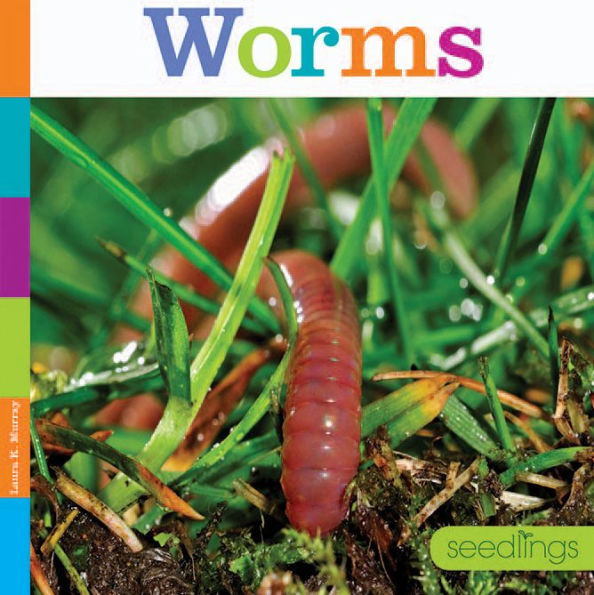 Worms