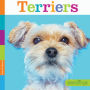 Terriers