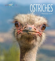 Title: Ostriches, Author: Melissa Gish