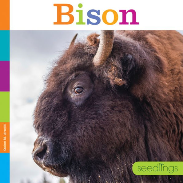 Bison