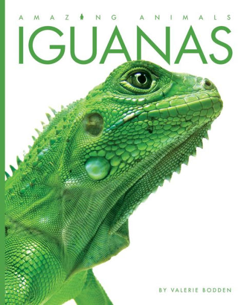 Iguanas (Amazing Animals Series)