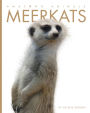 Meerkats (Amazing Animals Series)