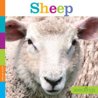 Title: Sheep, Author: Quinn M. Arnold