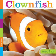 Title: Clownfish, Author: Kate Riggs