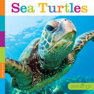 Title: Sea Turtles, Author: Quinn M. Arnold