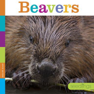 Title: Beavers, Author: Quinn M. Arnold