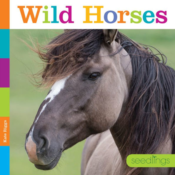 Wild Horses