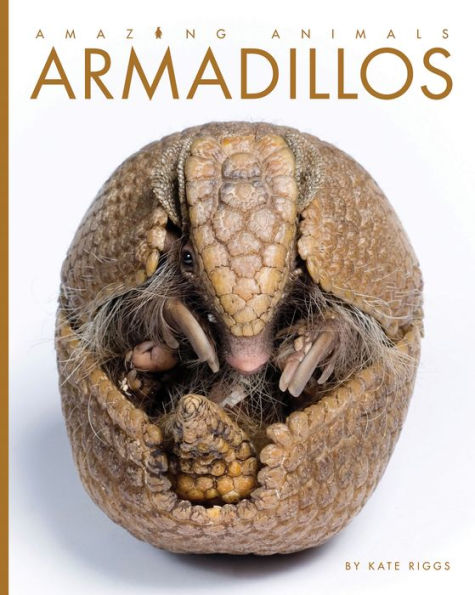 Armadillos (Amazing Animals Series)