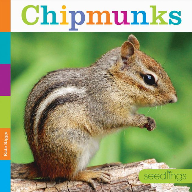 Chipmunks by Kate Riggs, Paperback | Barnes & Noble®