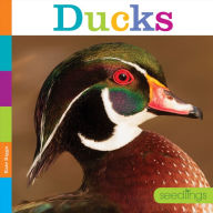 Free digital electronics books downloads Ducks in English by Kate Riggs RTF FB2 ePub 9798889895756