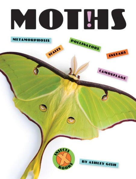 Moths