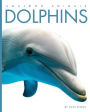 Dolphins