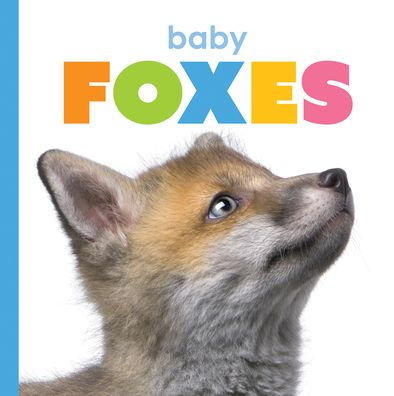 Baby Foxes