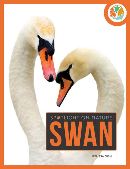 Swan