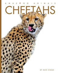 Title: Cheetahs, Author: Kate Riggs