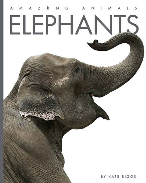 Elephants