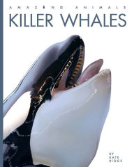 Title: Killer Whales, Author: Kate Riggs