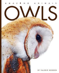 Title: Owls, Author: Valerie Bodden