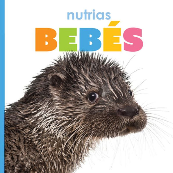 nutrias bebes