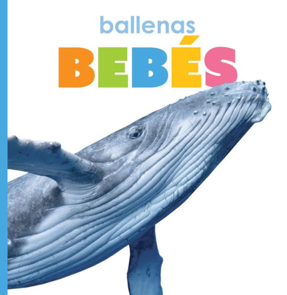 ballenas bebes