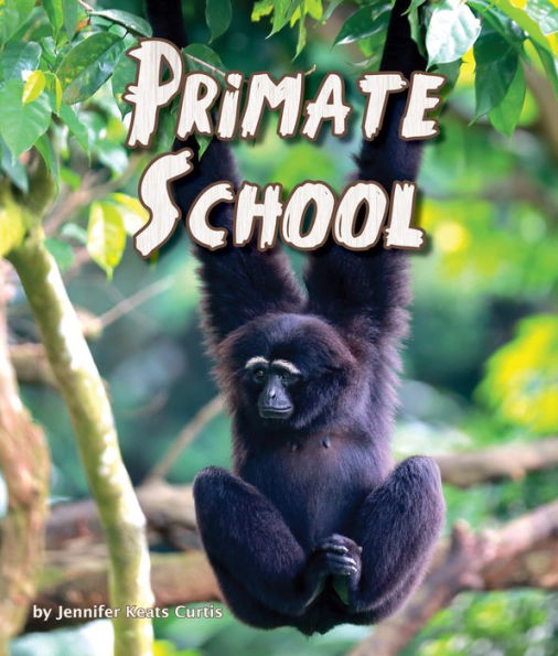 Primate School