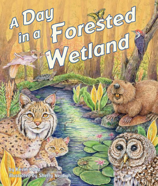 a Day Forested Wetland