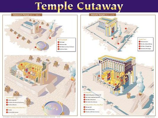 Temple Cutaway Wall Chart