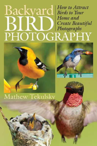 Backyard Bird Photography: How to Attract Birds Your Home and Create Beautiful Photographs