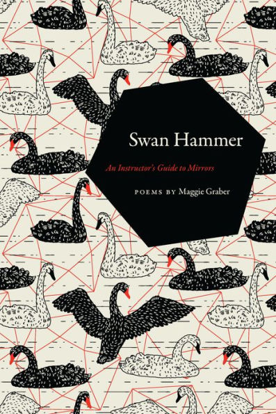 Swan Hammer: An Instructor's Guide to Mirrors