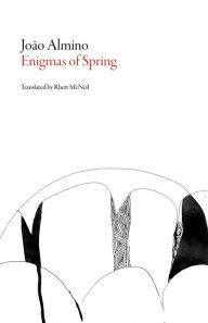 Download free epub books Enigmas of Spring 9781628971316 by Joao Almino