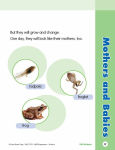 Alternative view 4 of Skill Sharpeners: Science, Grade 1 Workbook