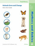 Alternative view 6 of Skill Sharpeners: Science, Grade 1 Workbook