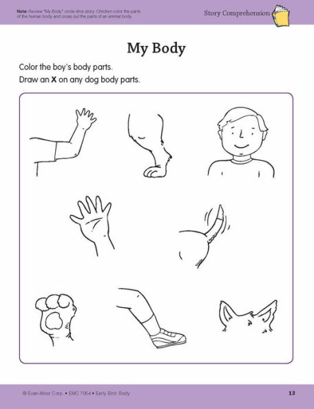 Early Bird: Body, Age 4 - 5 Workbook