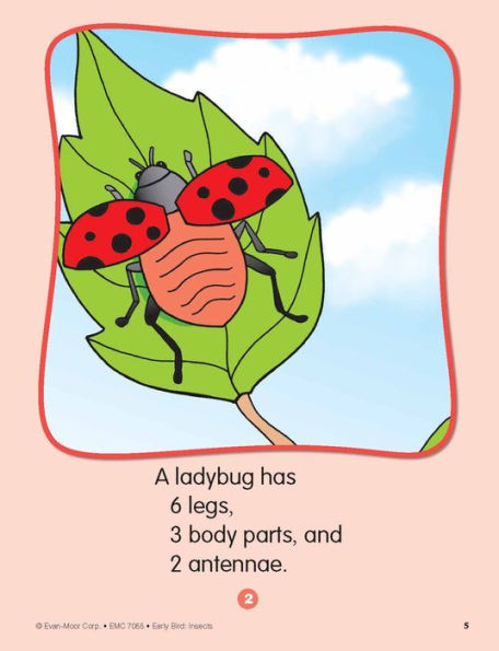 Early Bird: Insects, Age 4 - 5 Workbook